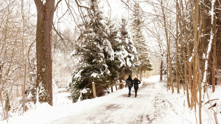 Zwei Leute laufen durch den Schnee